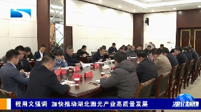 程用文强调 加快推动湖北激光产业高质量发展