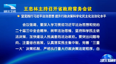 王忠林主持召开省政府常务会议