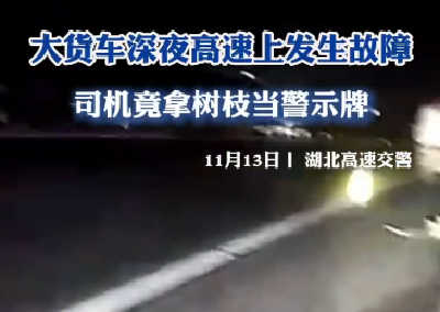 大货车深夜高速上发生故障 司机竟拿树枝当警示牌