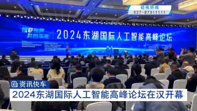 2024东湖国际人工智能高峰论坛在汉开幕