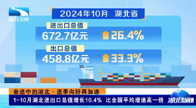 奋进中的湖北·逐季向好再加速丨1-10月湖北进出口总值增长10.4% 比全国平均增速高一倍