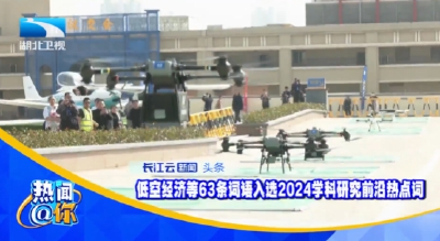 低空经济等63条词语入选2024学科研究前沿热点词