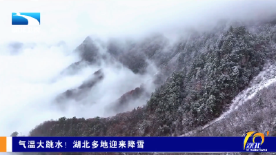 气温大跳水！湖北多地迎来降雪