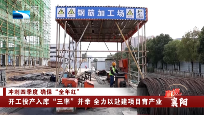 襄阳：开工投产入库“三率”并举 全力以赴建项目育产业