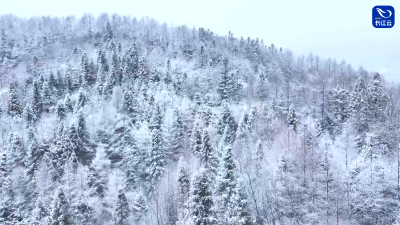 宜昌迎来今冬首场大雪 冬日氛围感拉满