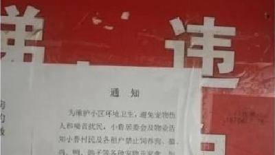 济南一社区发布“捕杀宠物家禽”通知？最新回应→