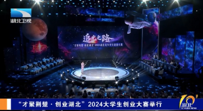 “才聚荆楚·创业湖北”2024大学生创业大赛举行