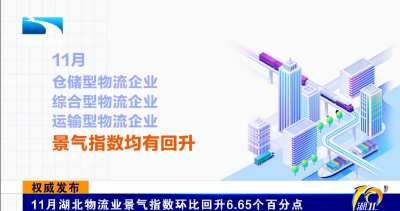 权威发布 | 11月湖北物流业景气指数环比回升6.65个百分点