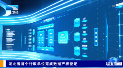 湖北省首个行政单位完成数据产权登记