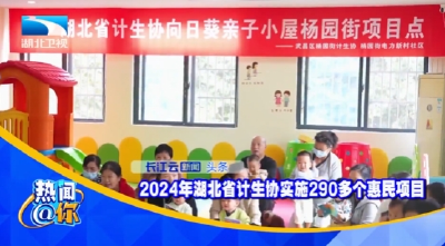 2024年湖北省计生协实施290多个惠民项目