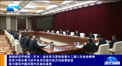 省政府召开党组（扩大）会议学习贯彻省委十二届八次全会精神