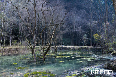 湖北南漳：碧水如茵潮水河