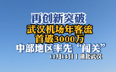 武汉机场年客流首破3000万 中部地区率先“闯关”