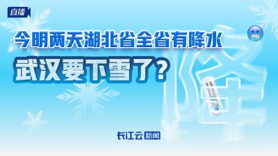 慢直播丨今明两天湖北省全省有降水 武汉要下雪了？