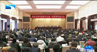 湖北省海外联谊会七届一次理事代表大会召开