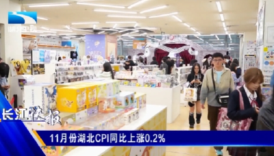 11月份湖北CPI同比上涨0.2%