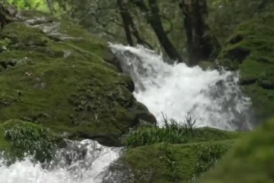 “龙须沟”变身“一库碧水” 来看十堰泗河的生态蝶变