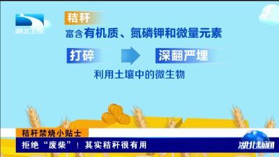 秸秆禁烧小贴士｜拒绝“废柴”！其实秸秆很有用