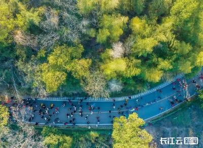 黄石新年登高祈福活动在东方山风景区举行