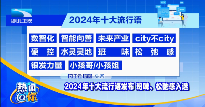 2024年十大流行语发布 班味、松弛感入选