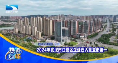 2024年武汉市江夏区企业迁入量全市第一