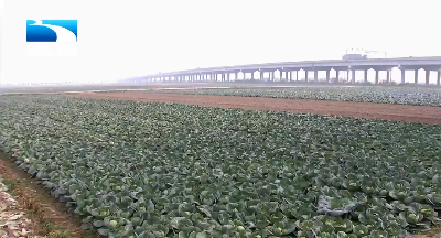 孙伟在咸宁调研时强调 更好履行职能发挥作用 为打造武汉都市圈自然生态公园城市凝心聚力