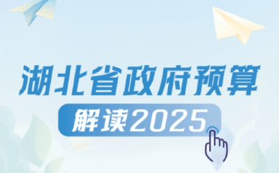 2025年湖北省政府预算报告解读