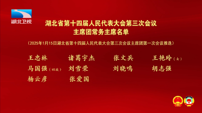 湖北省第十四届人民代表大会第三次会议主席团常务主席名单