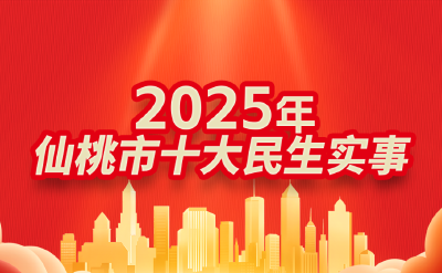 2025年仙桃十大民生实事出炉