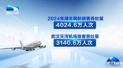 奋进中的湖北 | 2024年湖北民航客货运“双枢纽”吞吐量中部领先