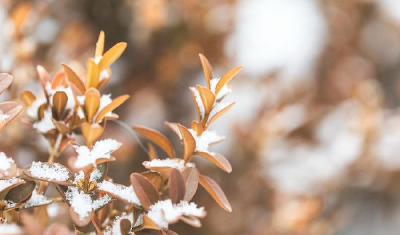 春运首日冷空气携风雨雪“驾到” 湖北明日转晴气温低迷