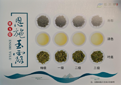 12种湖北茶标准“可视化” 来看看你的茶叶是几级？