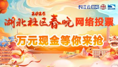 2025湖北社区春晚网络投票