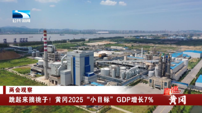 黄冈两会观察 | 跳起来摘桃子！黄冈2025“小目标”GDP增长7%