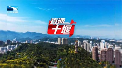 直通十堰 | 张湾区：向“千亿级示范区”奋力迈进