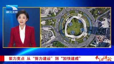 长江评论：聚力支点 从“努力建设”到“加快建成”