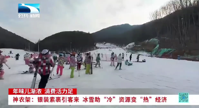 神农架：银装素裹引客来 冰雪助“冷”资源变“热”经济