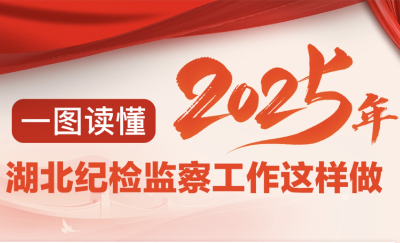 一图读懂 | 2025年湖北纪检监察工作这样做