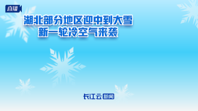 慢直播丨湖北部分地区迎中到大雪 新一轮冷空气来袭！