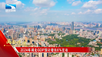 2024年湖北GDP预计增长6%左右