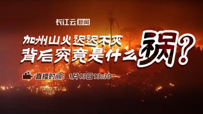 直播丨加州山火迟迟不灭，背后究竟是什么“祸”？