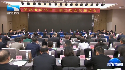 诸葛宇杰出席省政协十三届三次会议联组会 凝心聚力携手推进城乡融合发展和乡村全面振兴