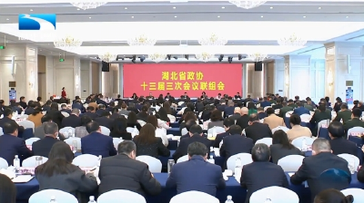 宁咏出席省政协十三届三次会议联组会 为奋力谱写中国式现代化湖北篇章注入文化动能