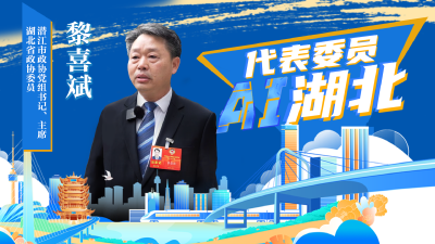 代表委员AI湖北丨黎喜斌：打造华中地区重要油气战略储备区