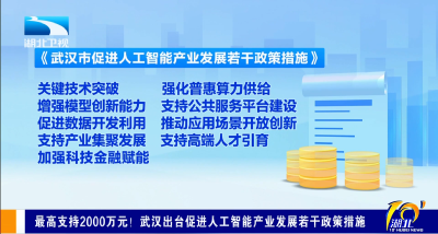 最高支持2000万元！武汉出台促进人工智能产业发展若干政策措施