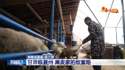 【新春走基层•走三州】甘肃临夏州 黑麦家的致富路