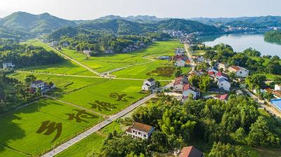 绘就乡村好“丰”景——宜昌奋力推进乡村全域全员全面振兴