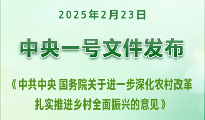 2025年中央一号文件发布