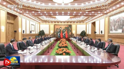 习近平同巴基斯坦总统扎尔达里会谈