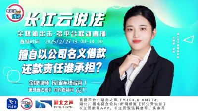 直播 | 擅自以公司名义借款，还款责任谁承担?